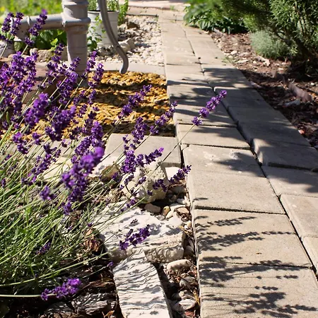 Hébergement de vacances Eli